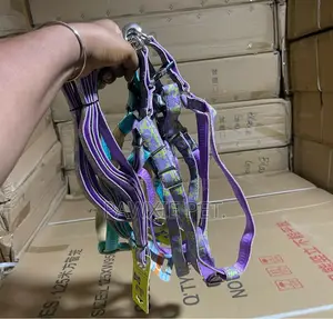Dog Favor Design Harness & Lead (2.0*120cm)
