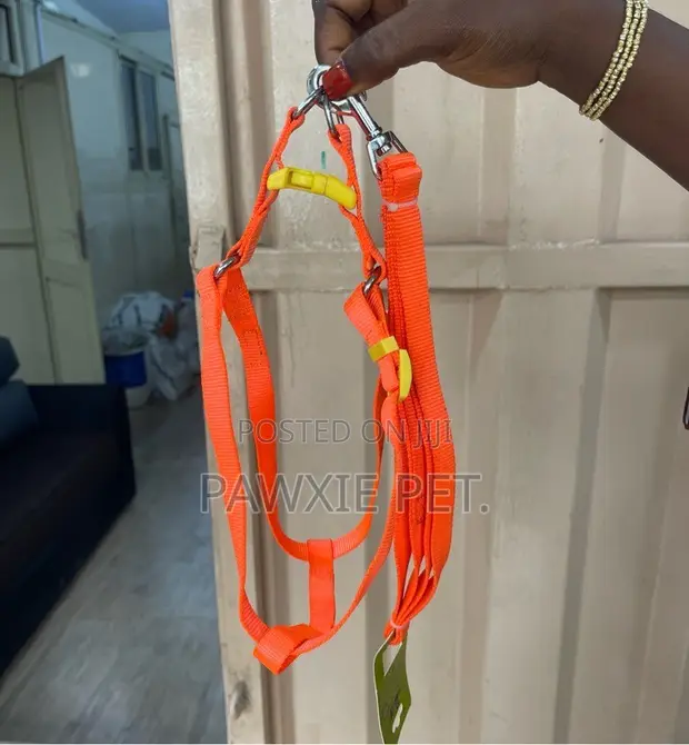 Dog Harness and Lead Set - 1.5cm x 120cm - 1