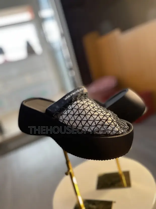 Alexander Wang Stool Heel Shoes - 1