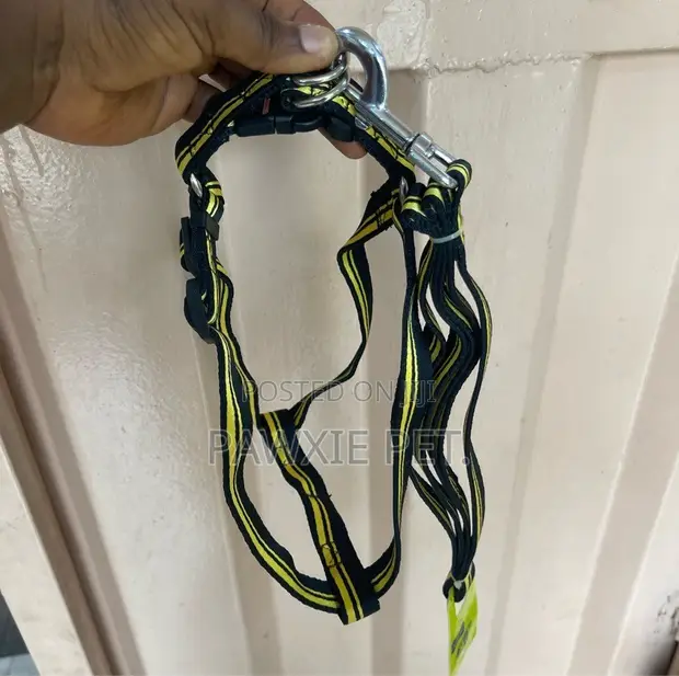 Dog Favour Double Stripe Harness & Lead - 1