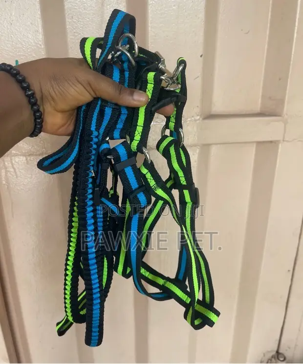 Dog Flower Lead and Harness Set - 1