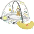 Fisher-Price Deluxe Kick & Play Piano Gym - 2