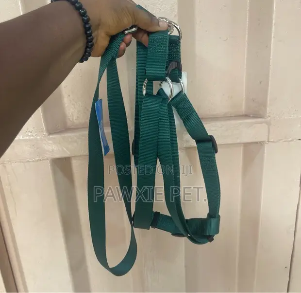 Laso Harness and Lead (L) - 1
