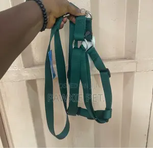 Laso Harness and Lead (L)