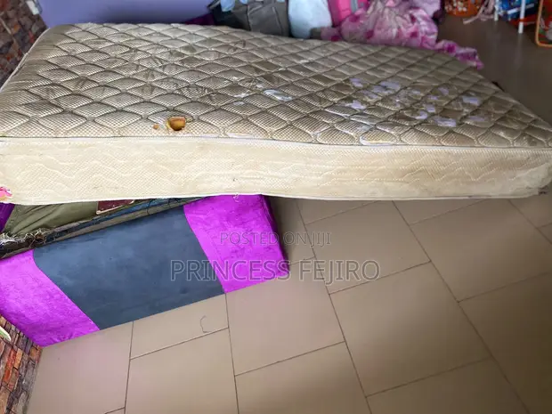 Standard Spring Bed - Used - 1