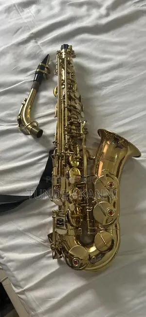 Proel Professional Saxophone - Gold Lacquer