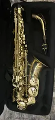 Proel Professional Saxophone - Gold Lacquer - 2