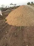 30 Tons of Sharp Sand - 2