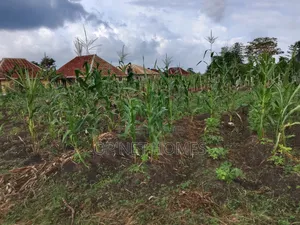2 Plots of Land for Sale in Emiloro, Oda, Akure