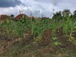 2 Plots of Land for Sale in Emiloro, Oda, Akure - 2
