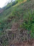 Filin Zama don Hayarwa, Iguadolor, Benin City - 2