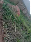 Filin Zama don Hayarwa, Iguadolor, Benin City - 4