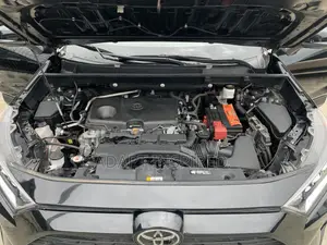 Toyota RAV4 2019 Baƙar Fata