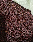 Grade A Cloves Seed - 50kg - 1