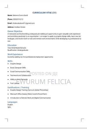 Graphic Design & Branding Services