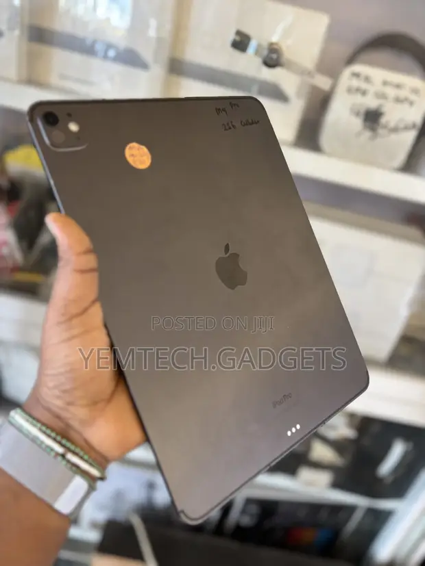 Apple iPad Pro 13" (2024) 256GB Gray - 1