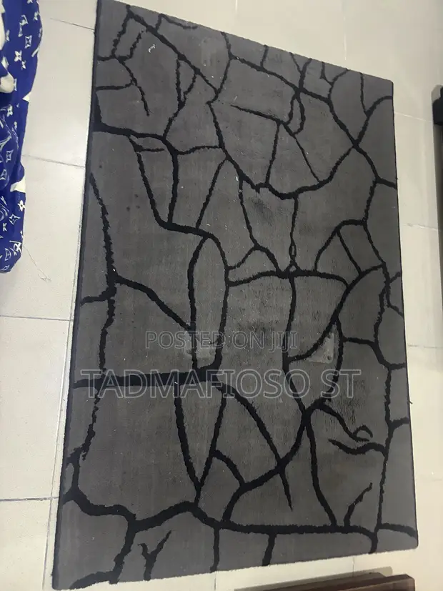 Neatly Used Luxury Rug - Home Interiors - 1