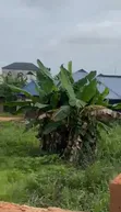 Filin 50ft x 100ft Don Sawa a S T Barracks Isihor, Benin City - 5