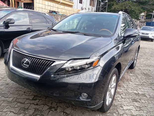 Lexus RX 350 2010 Gray - 1