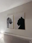 African Wild Lion Acrylic Art Prints (Set of 2) - 2