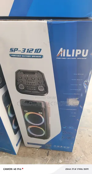 Ailipu SP3121D Mai Ƙarfin Gaske don Bikin Tare da Mics 2 Mara Wayoyi