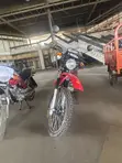 New Royal Motorcycle 2024 Red - 2
