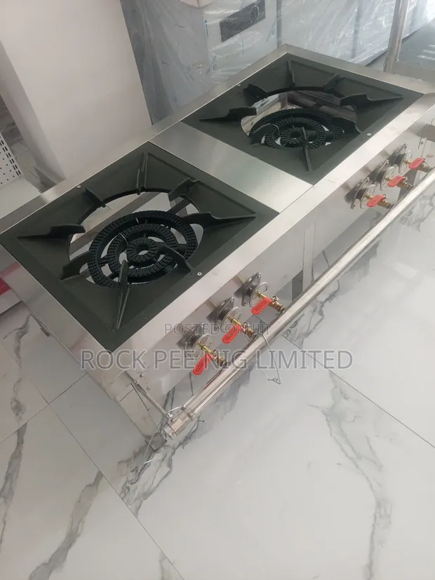 Two Burner Industrial Gas Cooker - 1