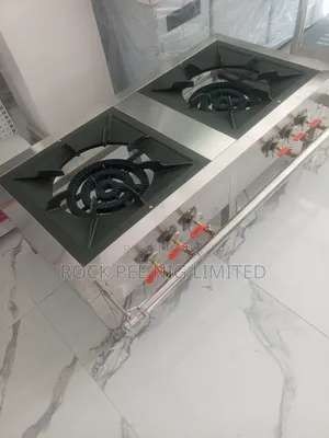Two Burner Industrial Gas Cooker
