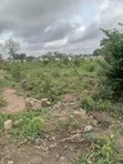 Strategic 4 Plots of Land for Sale in Ido - 2