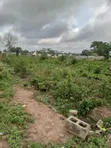 Strategic 4 Plots of Land for Sale in Ido - 4