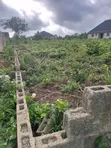 Strategic 4 Plots of Land for Sale in Ido - 5