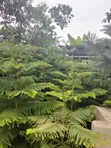 Sabis na JT Premier Flower Garden don Kyautata lambuna - 3