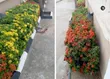 Sabis na JT Premier Flower Garden don Kyautata lambuna - 4
