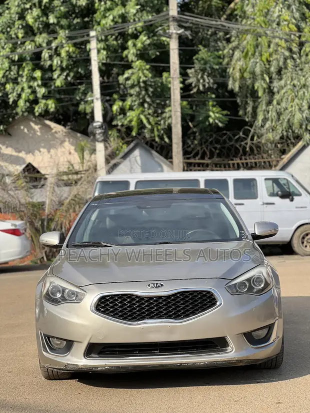 Kia Cadenza 2014 Gray - 1
