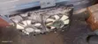 Honda Accord 2008 Radiator & Fan / RDX 2010 - 4