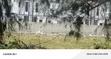 520sqm Land for Sale, Megamound Estate Ikota - 4