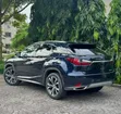 2020 Lexus RX Blue - 2