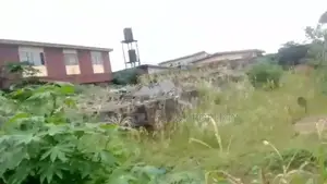 Filin Dawa Don Siyarwa, 60ft x 120ft, Ikotun