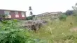 Filin Dawa Don Siyarwa, 60ft x 120ft, Ikotun - 2