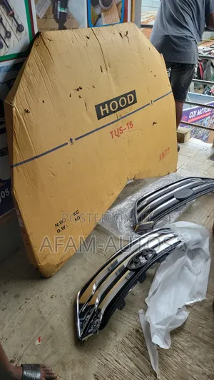 Hyundai Tucson 2020 Hood