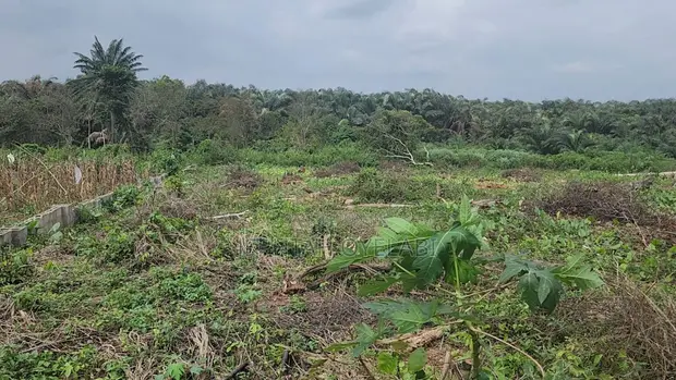 4 Plots of Land for Sale in Imota, Ikorodu - 1