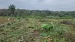 4 Plots of Land for Sale in Imota, Ikorodu - 1
