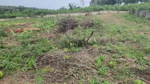 4 Plots of Land for Sale in Imota, Ikorodu