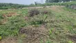 4 Plots of Land for Sale in Imota, Ikorodu - 2