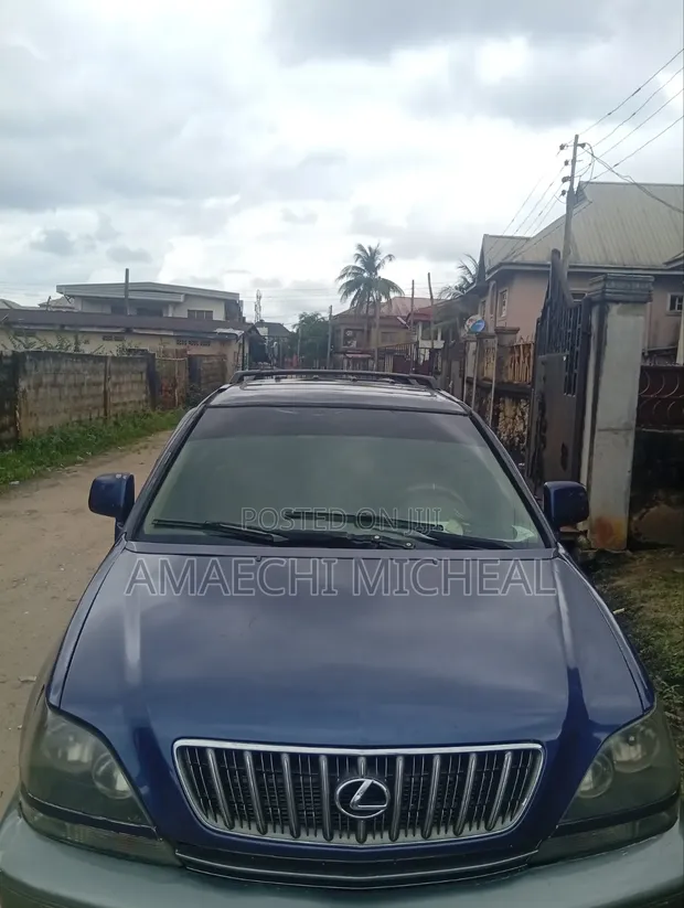 Lexus RX 300 2WD 2002 Blue SUV - 1