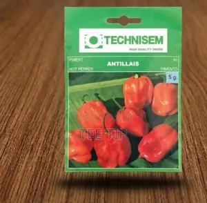 Technisem Antillais Pepper Seeds