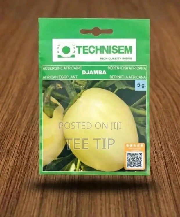 Technisem Djamba F1 Garden Egg Seeds - 1