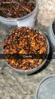 Turaren Wuta (Light Perfume) - Boronu Original - 3