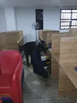 Professional Electrician - Hassan T&S Electrical Installation - 2