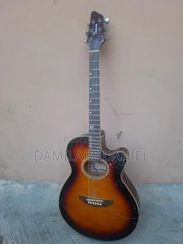 Semi Acoustic Guitar - 1